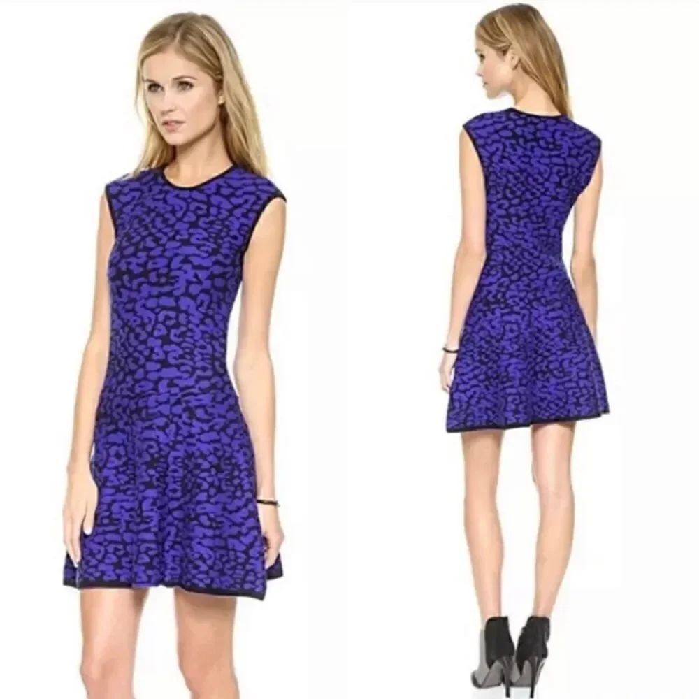 Rebecca Minkoff Drop Waist Leopard Sweater Dress